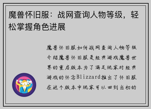魔兽怀旧服：战网查询人物等级，轻松掌握角色进展